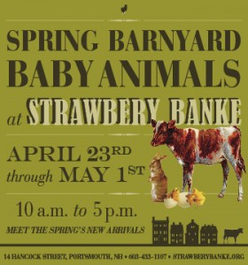 Strawbery Banke Baby Animals