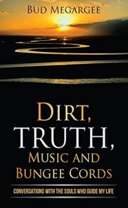 dirt, TRUTH, music and bungee cords book review